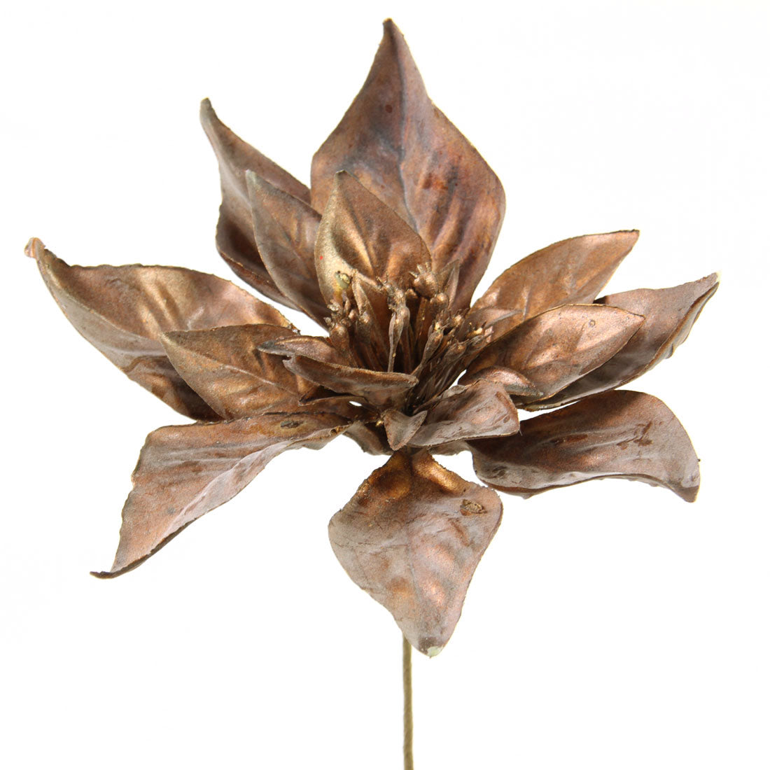 POINSETTIA BRONZE