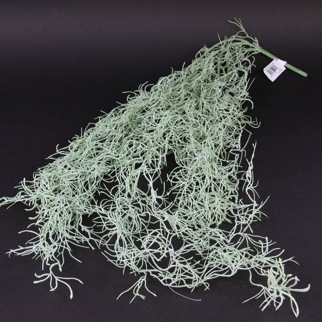 SPANISH MOSS BUSH