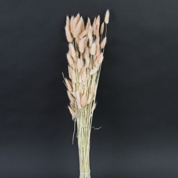 DRIED SAWGRASS