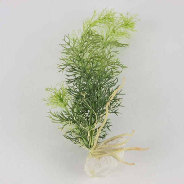 11"WATER GRASS A6